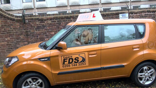 Fake Driving School latin amerikai picsa szarul vezet, de kúrni azt nagyon tud