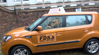 Fake Driving School egy jó hatalmas orgazmussal fejeződik be az óra